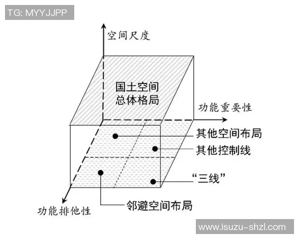重庆排球队的战术解析与控制体系探讨